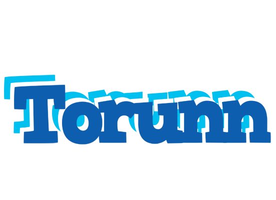 Torunn business logo