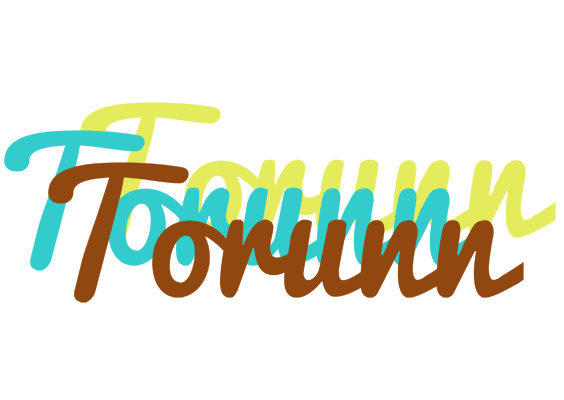 Torunn cupcake logo
