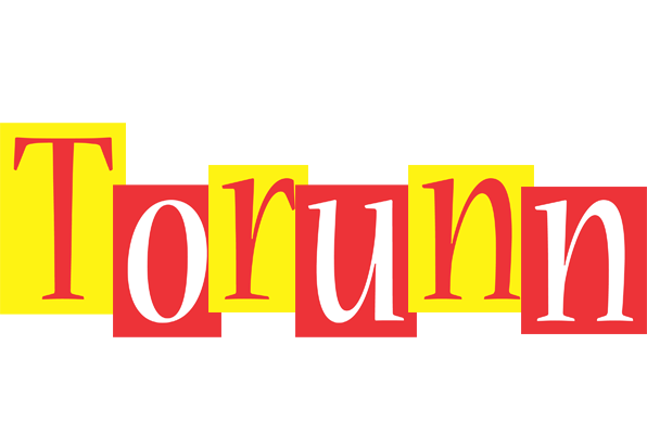 Torunn errors logo