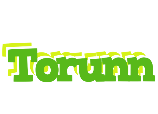 Torunn picnic logo