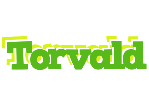 Torvald picnic logo