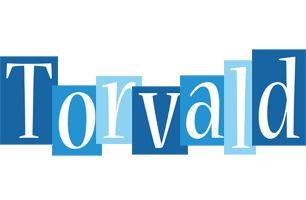 Torvald winter logo