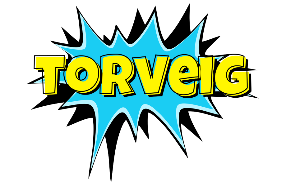 Torveig amazing logo
