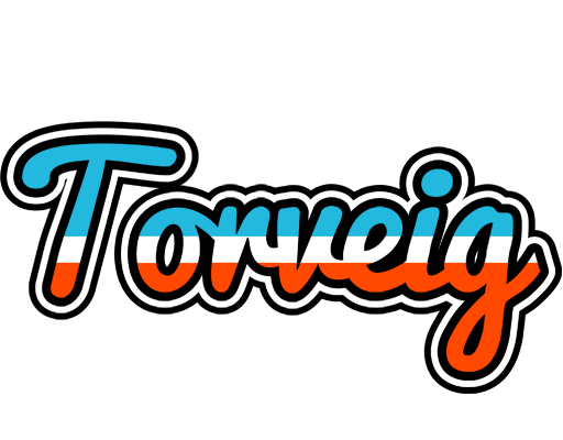 Torveig america logo