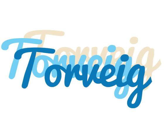 Torveig breeze logo