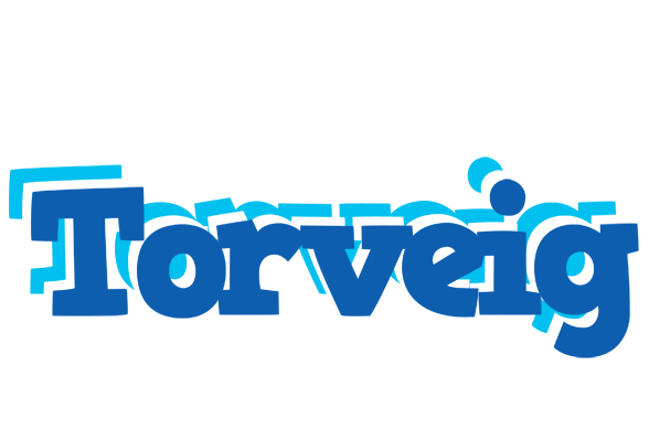 Torveig business logo