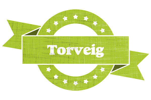Torveig change logo