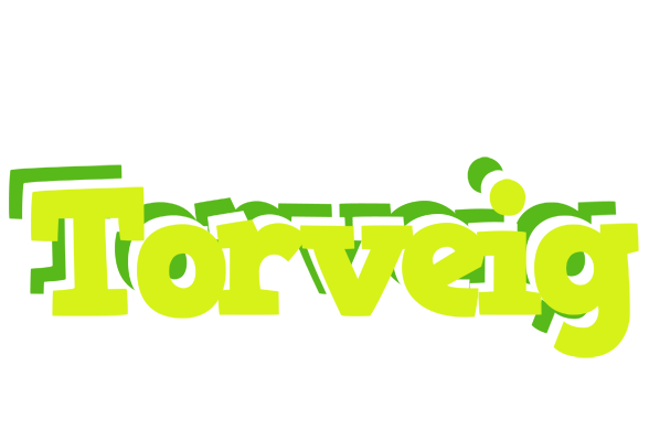 Torveig citrus logo