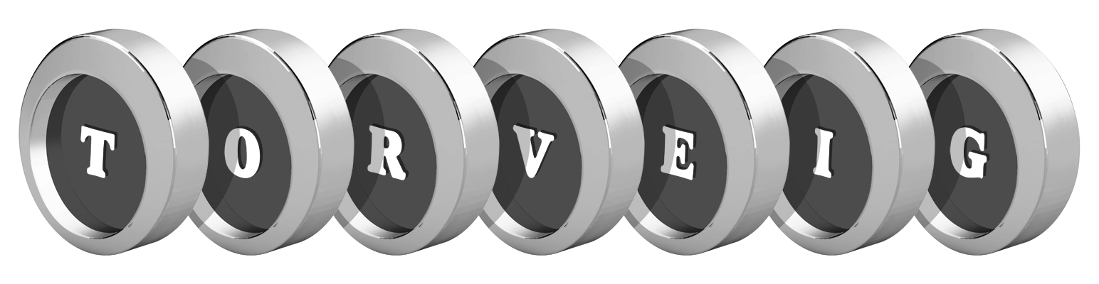 Torveig coins logo