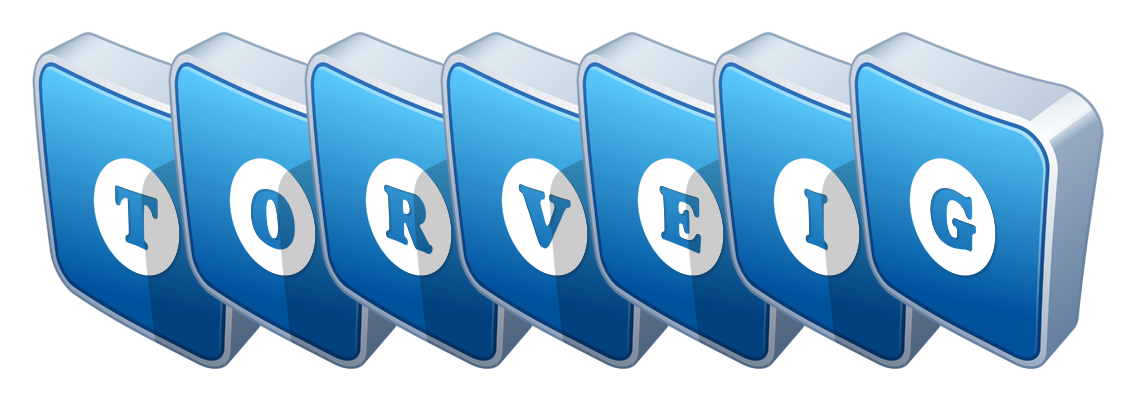 Torveig flippy logo