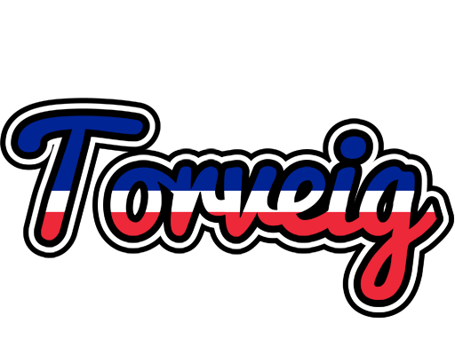 Torveig france logo
