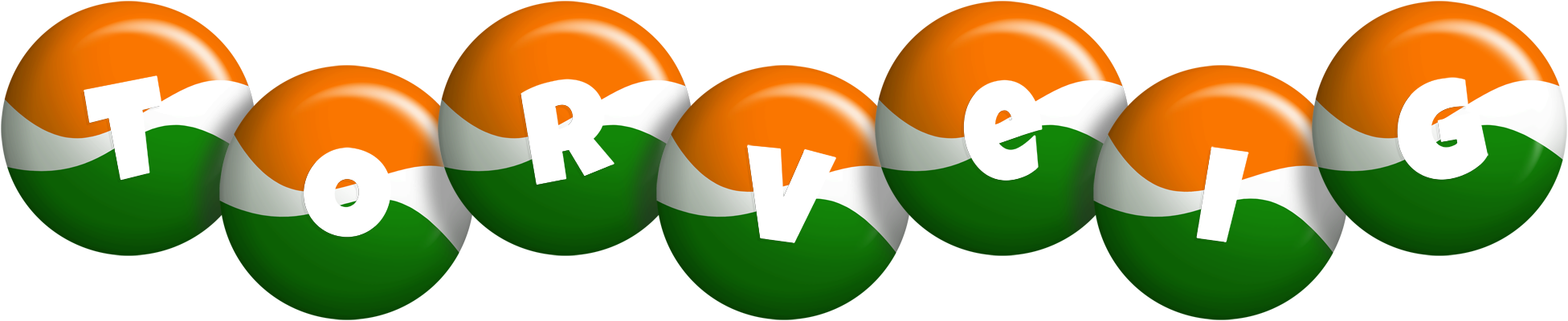 Torveig india logo