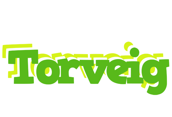 Torveig picnic logo