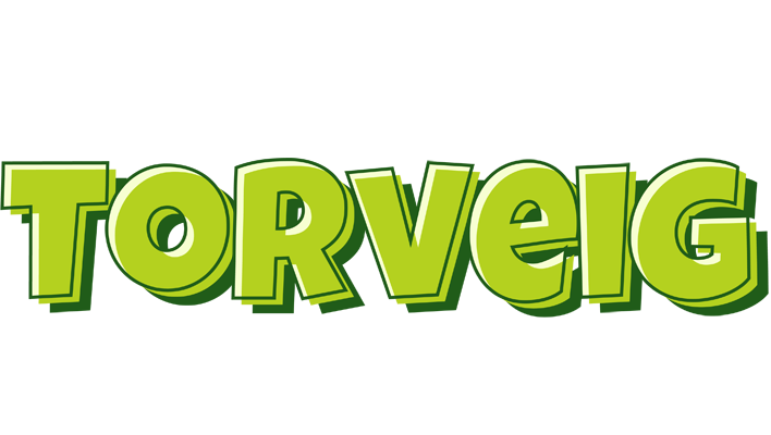 Torveig summer logo