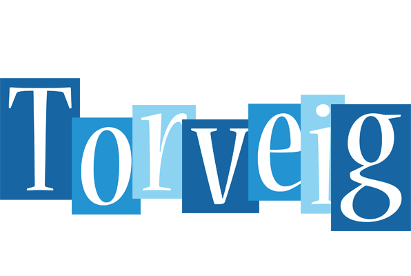 Torveig winter logo