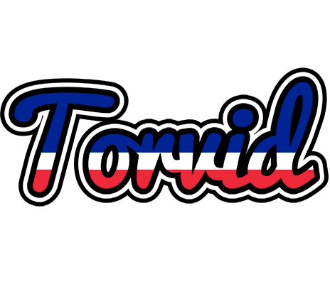 Torvid france logo