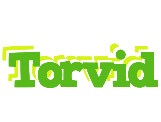 Torvid picnic logo