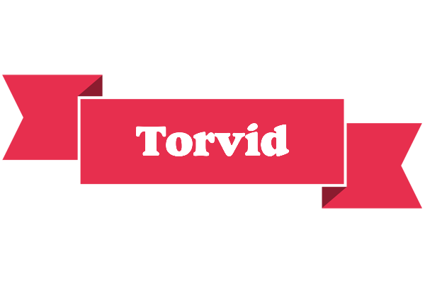Torvid sale logo