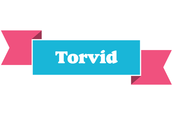 Torvid today logo