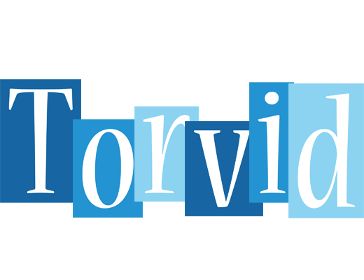 Torvid winter logo