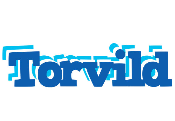 Torvild business logo