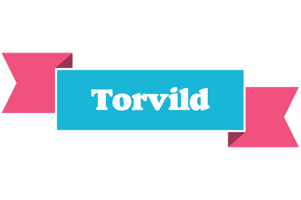 Torvild today logo