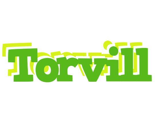 Torvill picnic logo