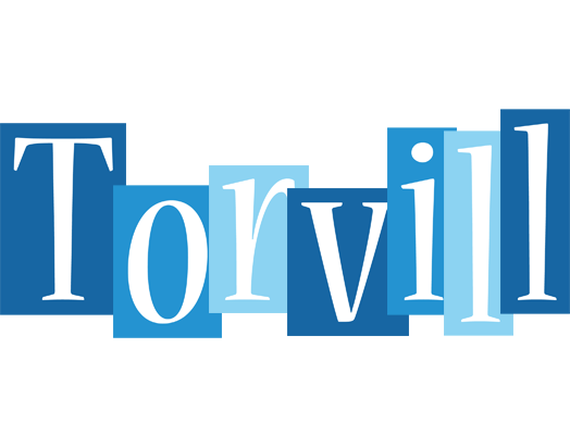 Torvill winter logo