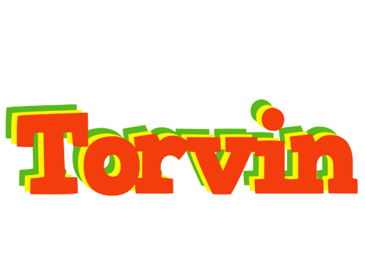 Torvin bbq logo