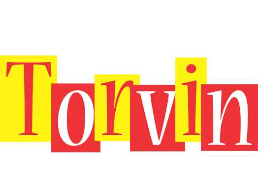 Torvin errors logo