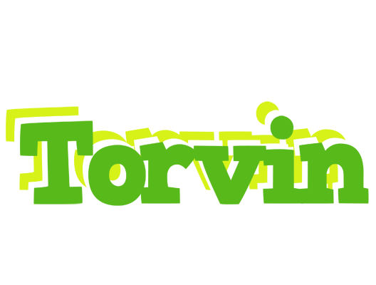 Torvin picnic logo