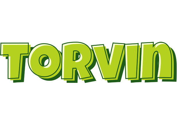 Torvin summer logo