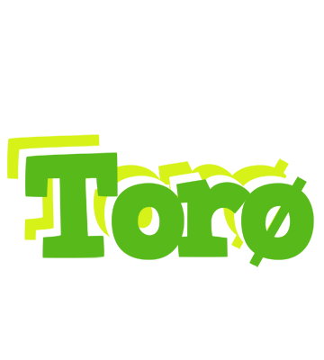Torø picnic logo