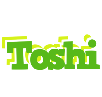 Toshi picnic logo