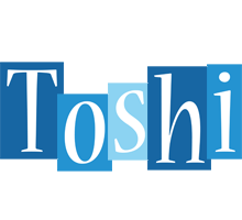 Toshi winter logo