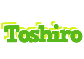 Toshiro picnic logo