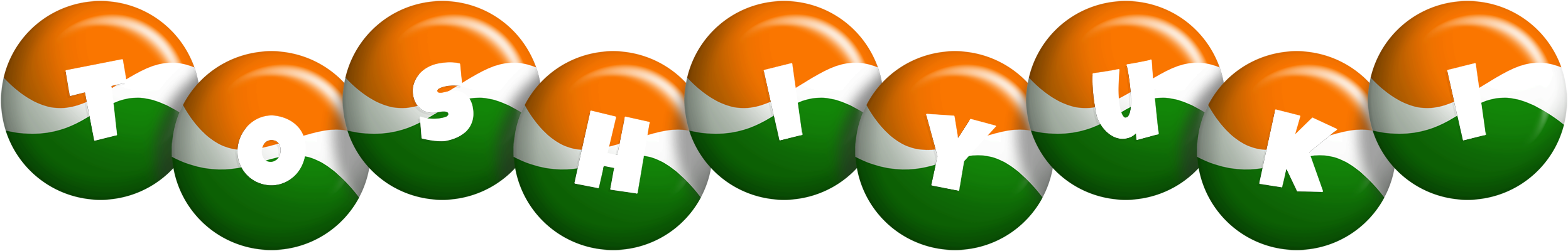 Toshiyuki india logo