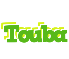 Touba picnic logo