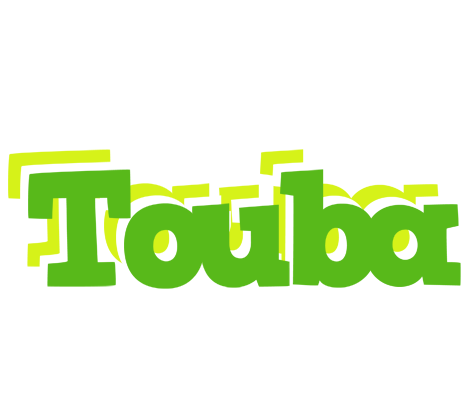 Touba picnic logo