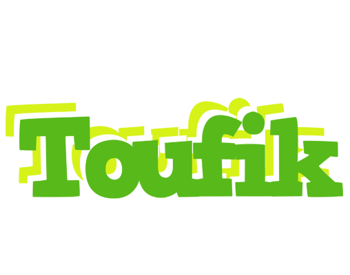 Toufik picnic logo