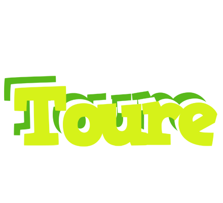 Toure citrus logo