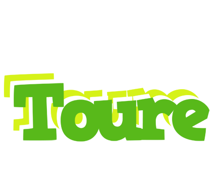 Toure picnic logo