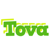 Tova picnic logo