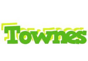 Townes picnic logo