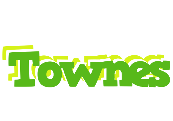 Townes picnic logo