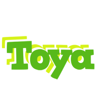 Toya picnic logo