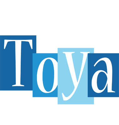 Toya winter logo
