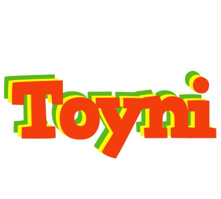 Toyni bbq logo