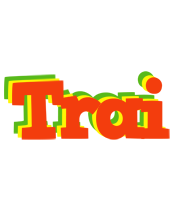 Trai bbq logo