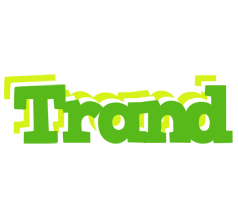 Trand picnic logo